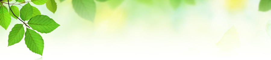 �y�{�T���̃z�[���y�[�W